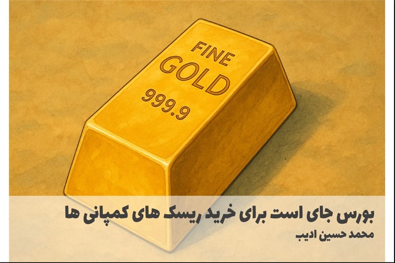 بورس جای است برای خرید ریسک های کمپانی ها