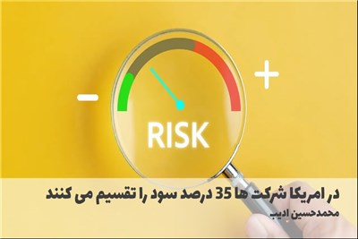 در امریکا شرکت ها 35 درصد سود را تقسیم می کنند