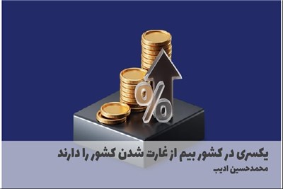 یکسری در کشور بیم از غارت شدن کشور را دارند